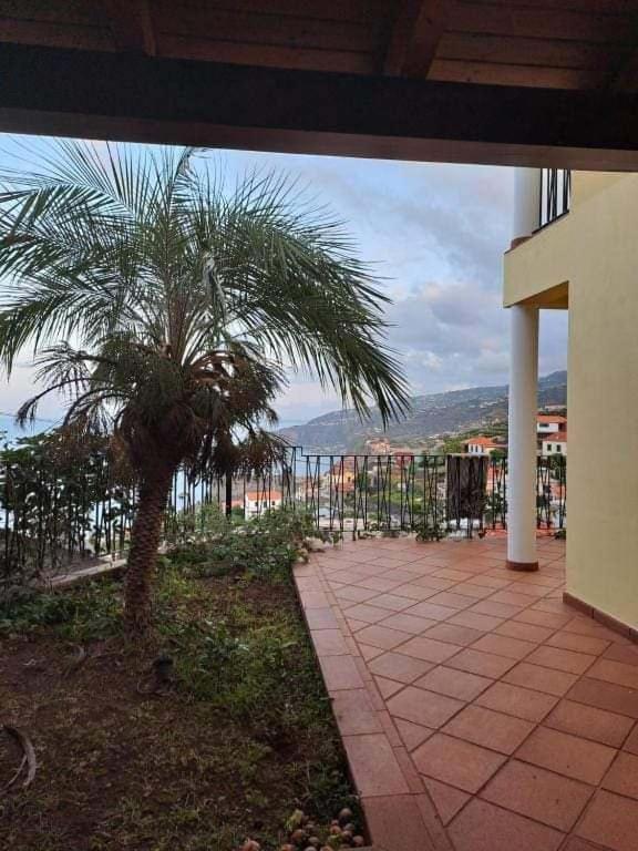 Апартаменты Sea View House Рибейра-Брава Экстерьер фото